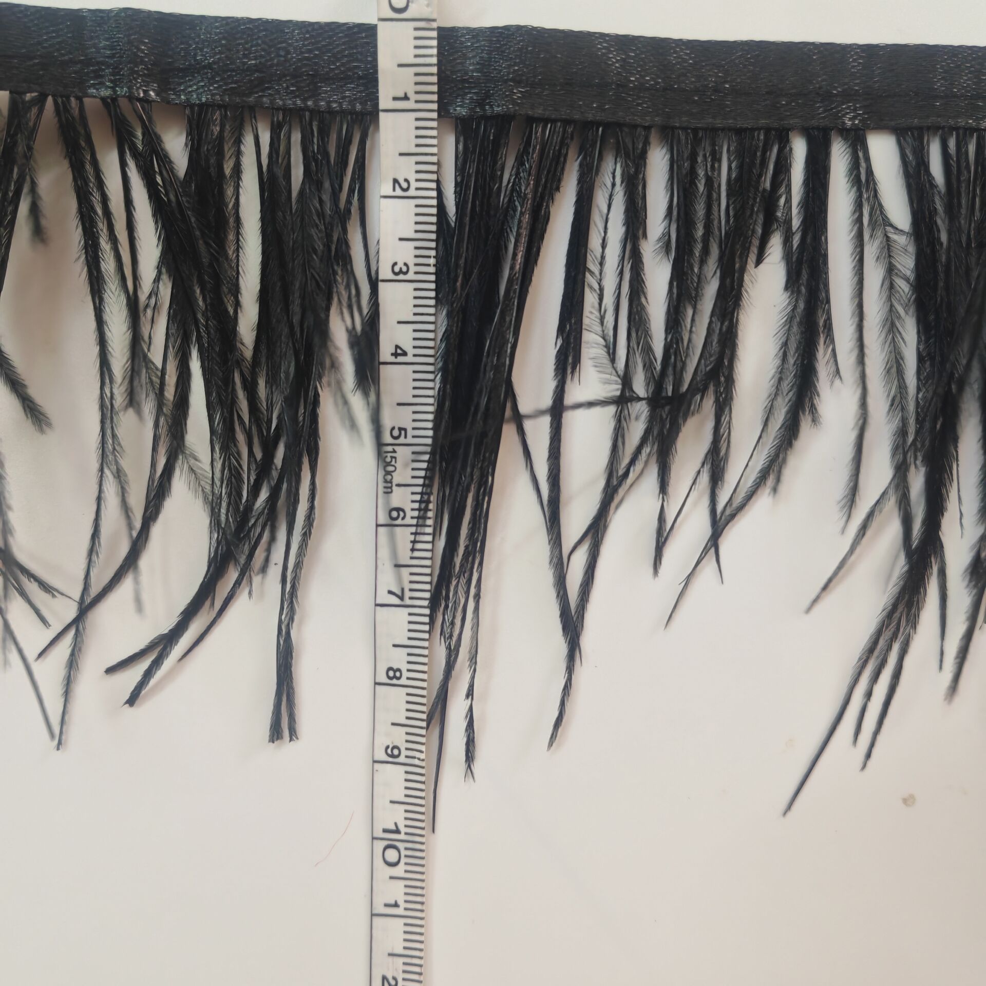 شريط ريش نعام أسود بطول 13-15  - مراجعة Fringe Ribbon Sewing وسعره